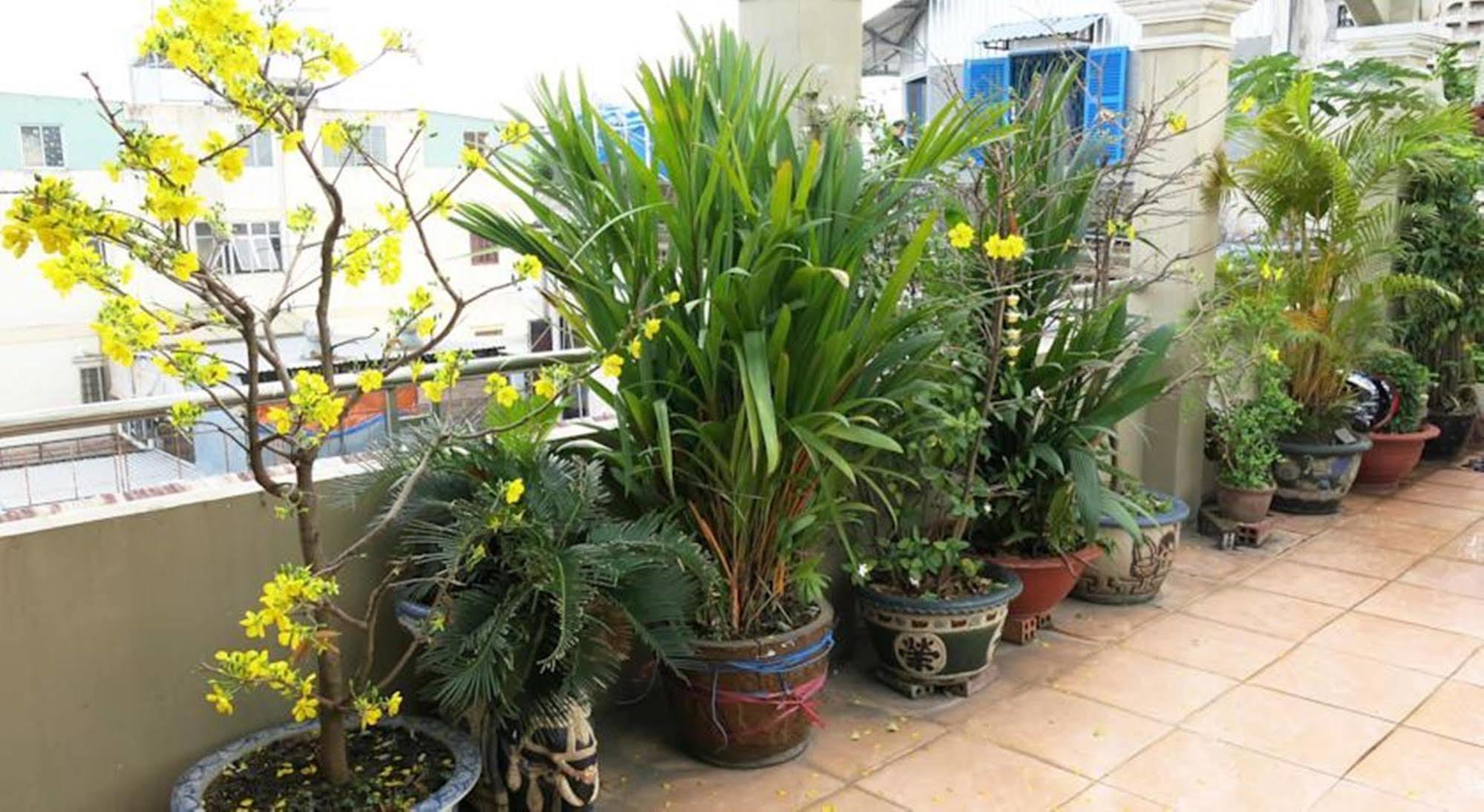 Banana Leaf Hotel Πόλη Χο Τσι Μινχ Εξωτερικό φωτογραφία